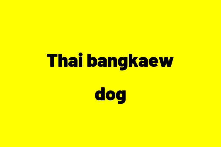 Thai bangkaew dog Dog for Sale in Crawley