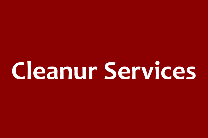 Cleanur Services