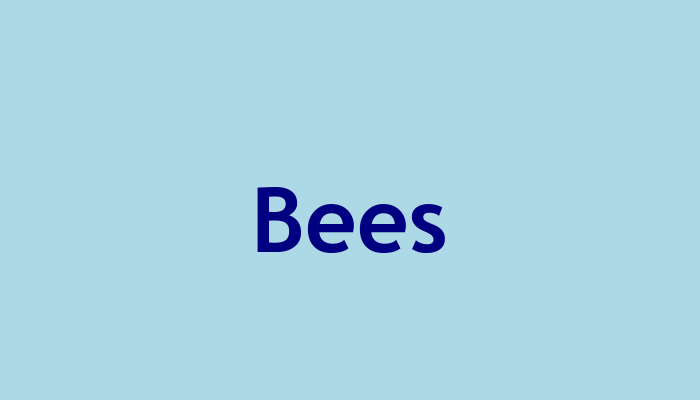 Bees