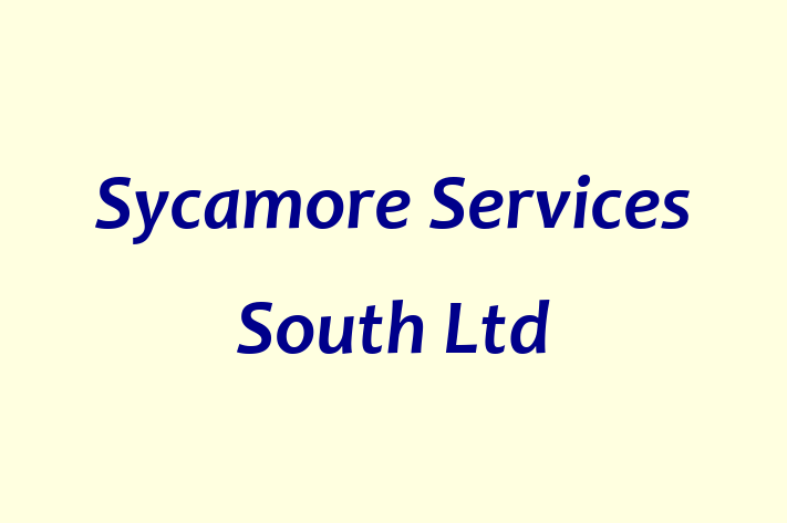 Sycamore Services   South Ltd