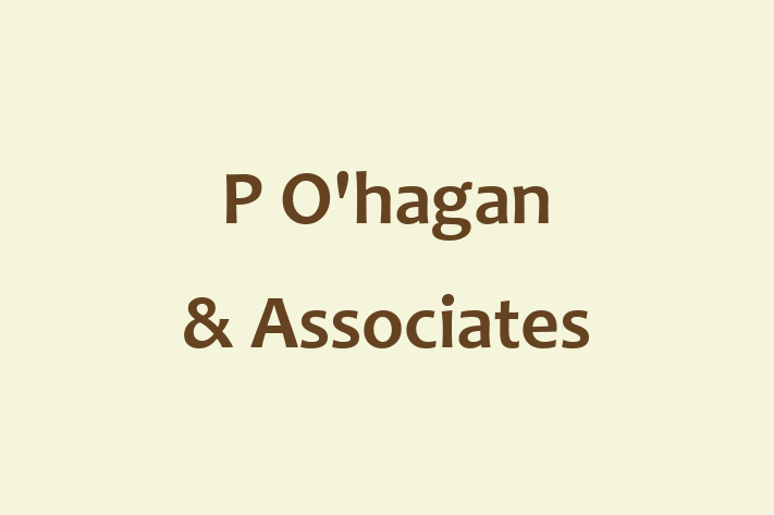 P O'hagan & Associates