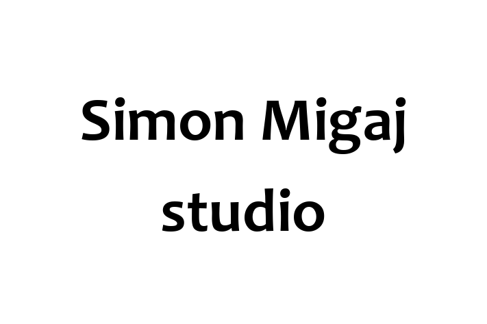 Simon Migaj studio