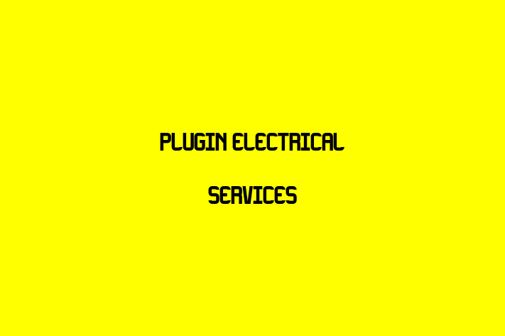 Plugin Electrical Services