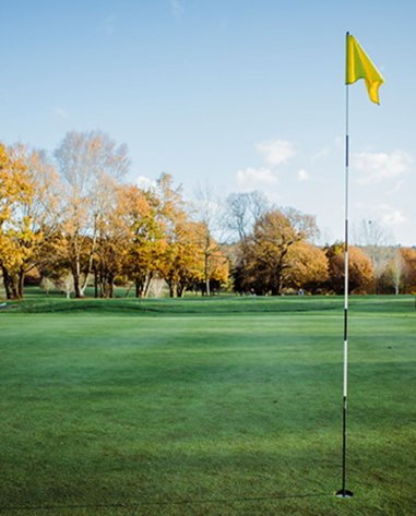 Shirley Park Golf Club