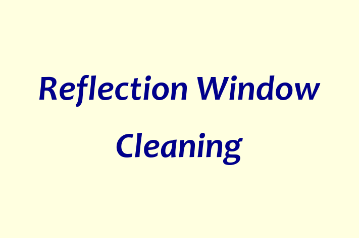 Reflection Window Cleaning