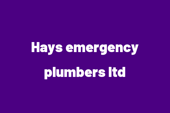 Hays emergency plumbers ltd