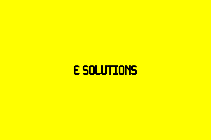 E Solutions