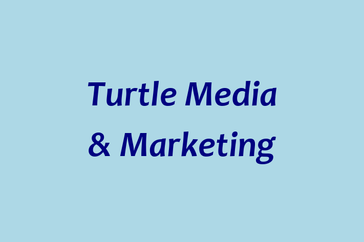 Turtle Media & Marketing