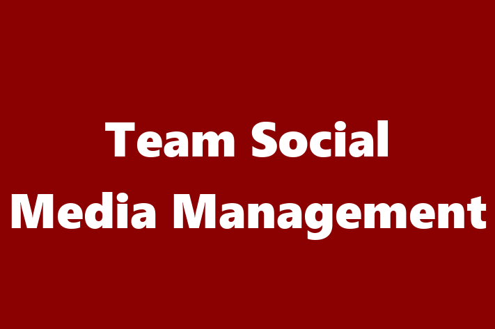 Team Social Media Management