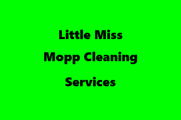 Little Miss Mopp Cleaning Services