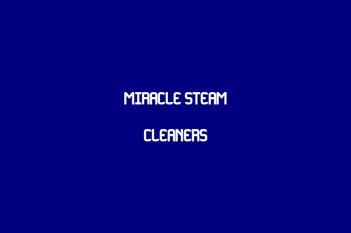 Miracle Steam Cleaners