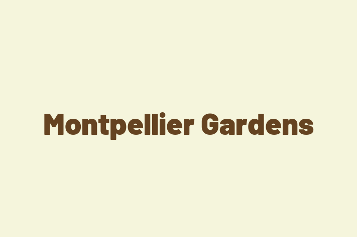 Montpellier Gardens