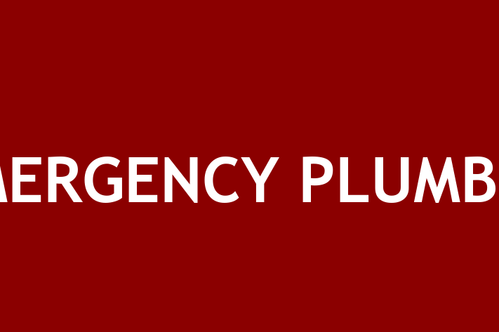 EMERGENCY PLUMBER