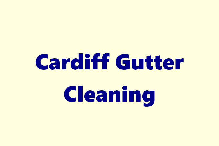 Cardiff Gutter Cleaning