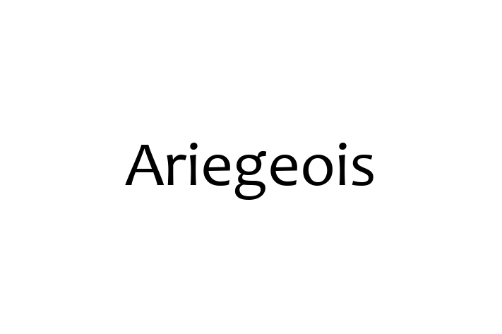 Ariegeois Dog for Sale in Norwich