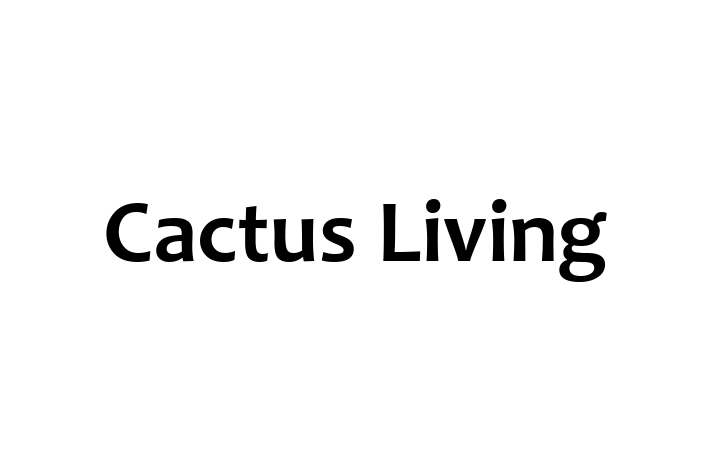 Cactus Living