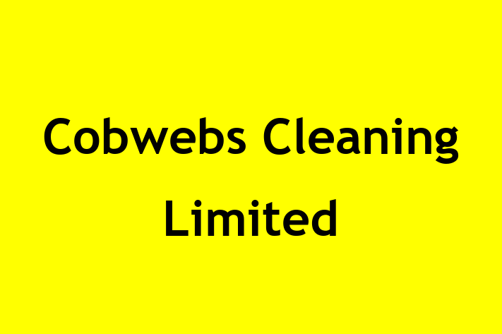 Cobwebs Cleaning Limited