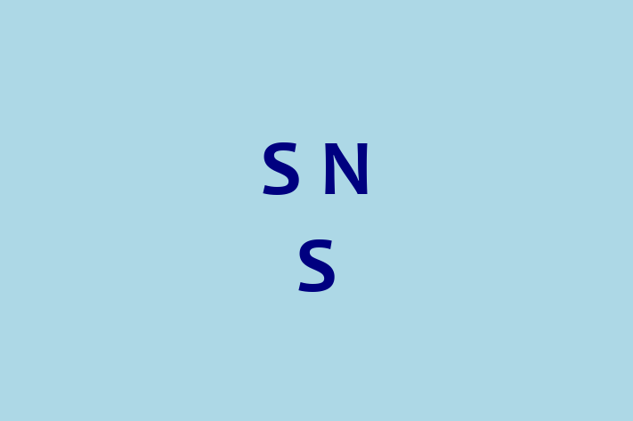 S N S