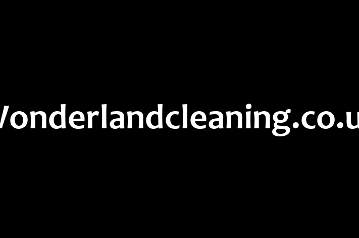 Wonderlandcleaning co uk