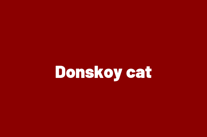 Adopt a Cat Today Donskoy cat in Kenton