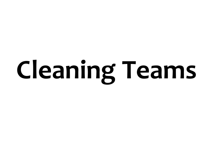 Cleaning Teams