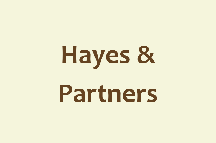 Hayes & Partners