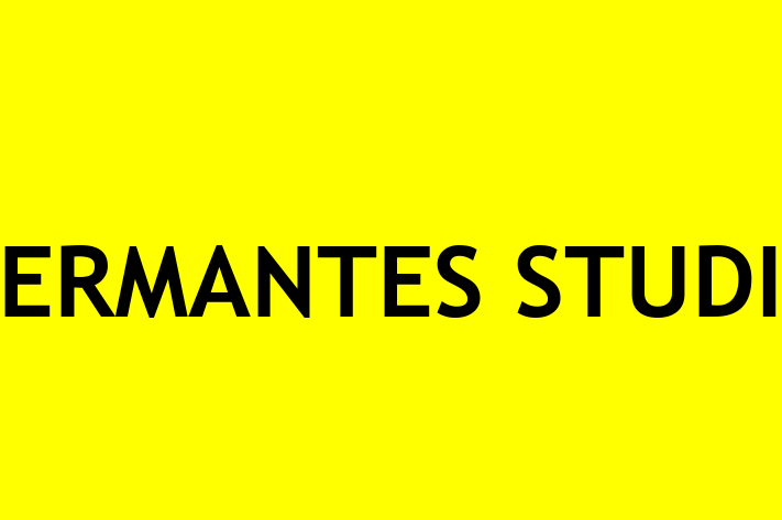 HERMANTES STUDIO