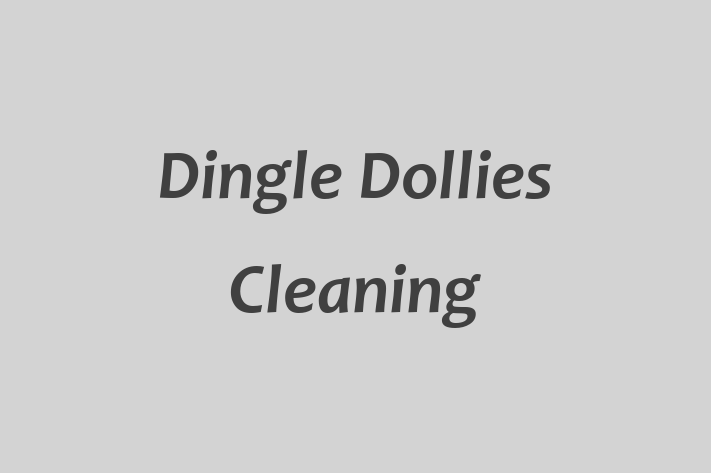 Dingle Dollies Cleaning