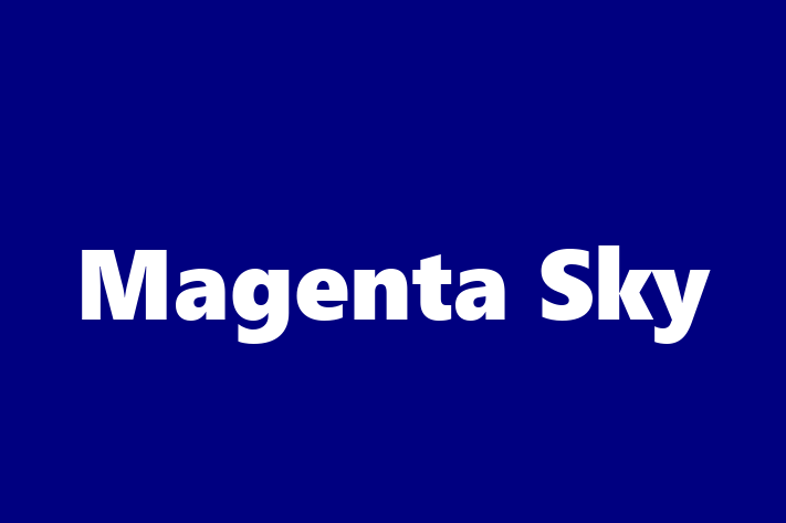 Magenta Sky