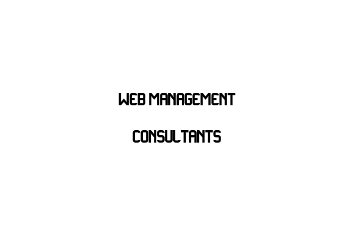 Web Management Consultants