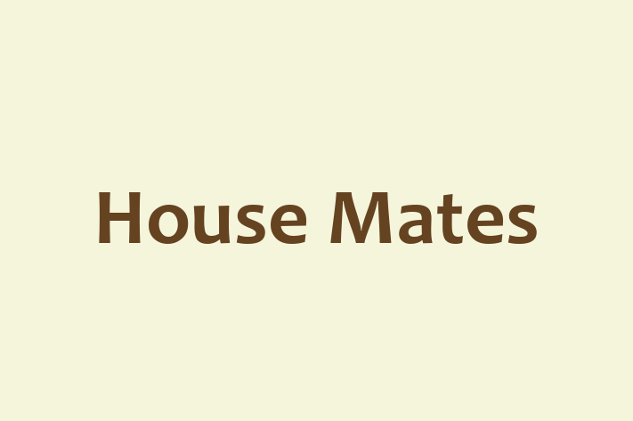 House Mates