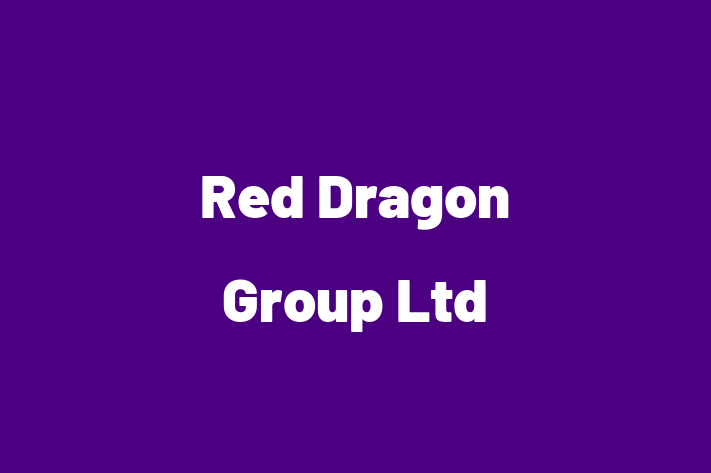 Red Dragon Group Ltd