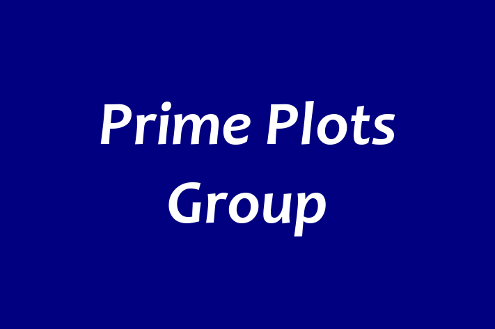 Prime Plots Group