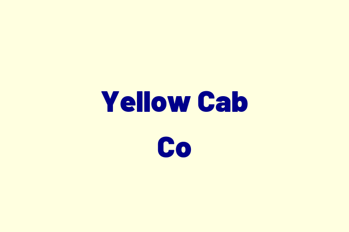 Yellow Cab Co