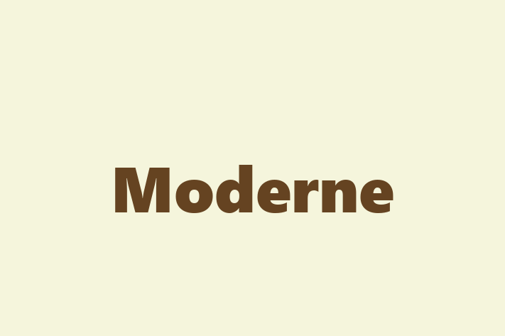 Moderne