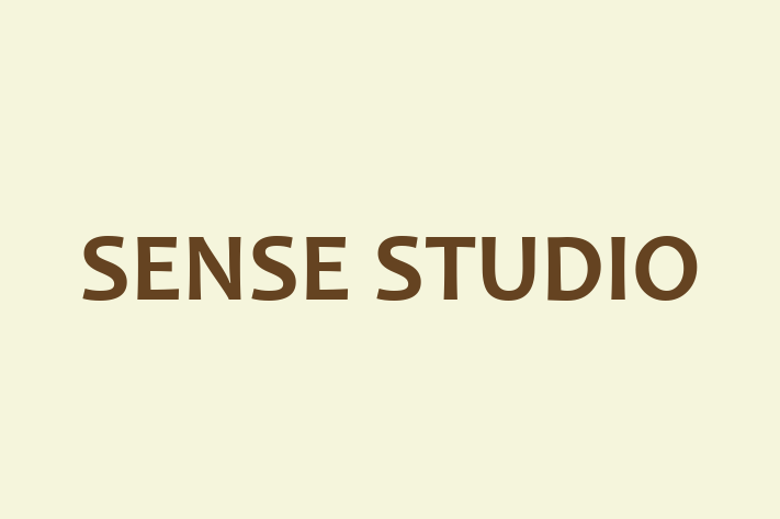 SENSE STUDIO