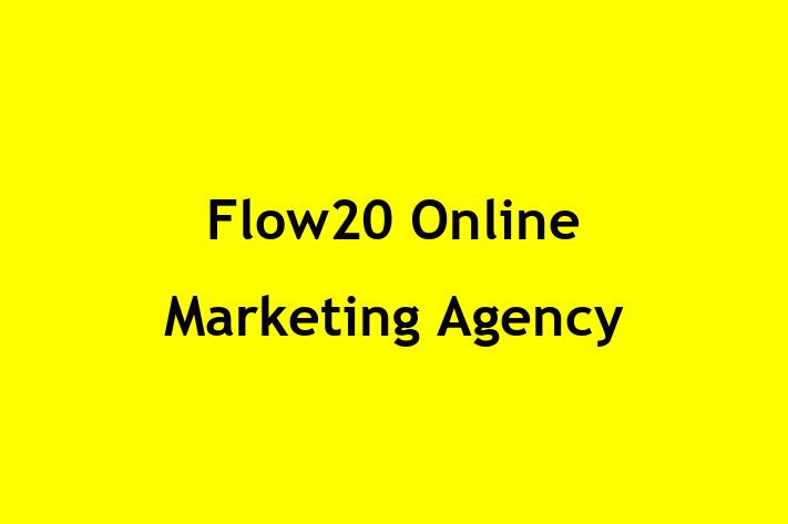 Flow20 Online Marketing Agency