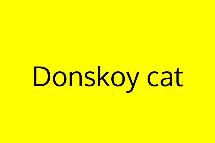 Donskoy cat Cat for Sale in Fenny Stratford