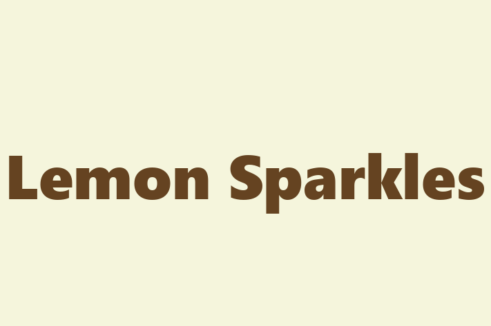 Lemon Sparkles