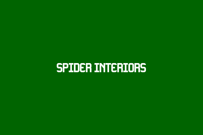 SPIDER INTERIORS