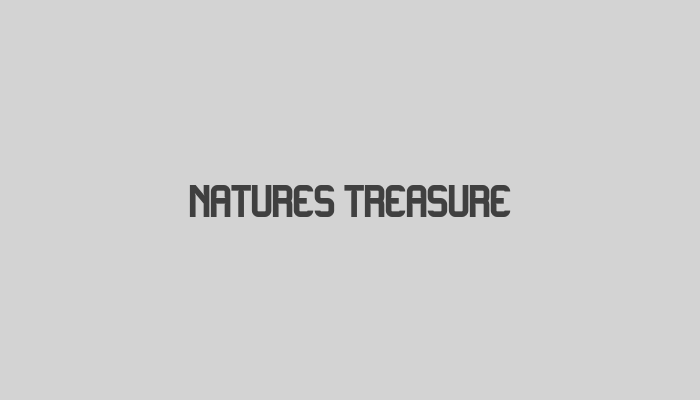 Natures Treasure