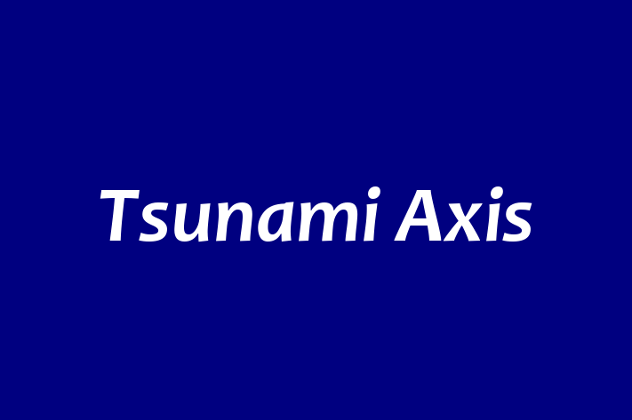 Tsunami Axis