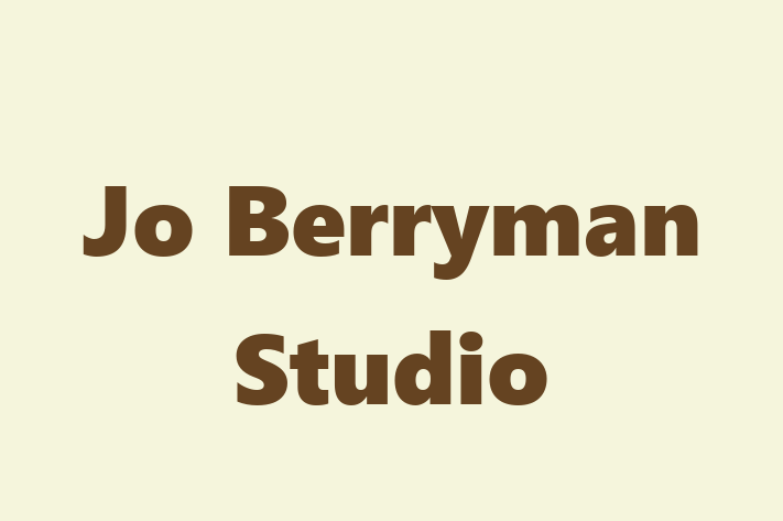 Jo Berryman Studio