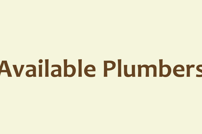 Available Plumbers