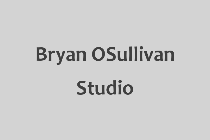 Bryan OSullivan Studio