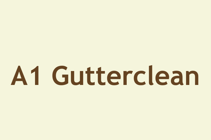 A1 Gutterclean