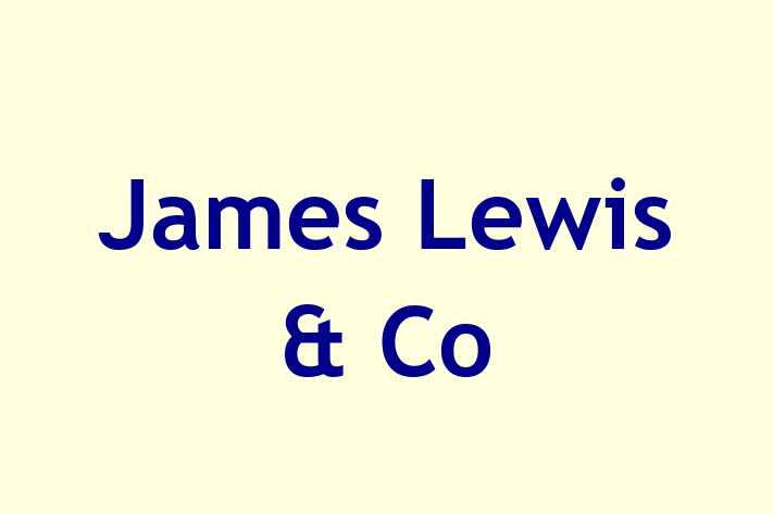 James Lewis & Co