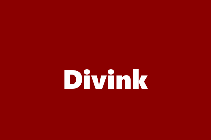 Divink