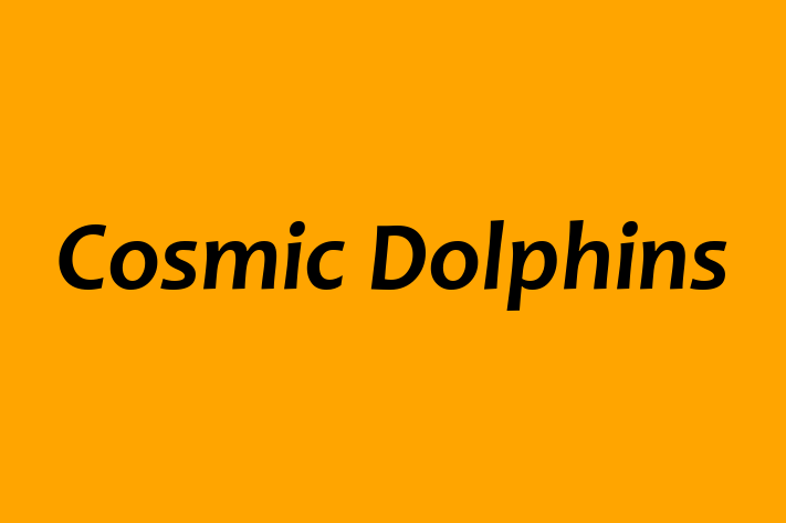 Cosmic Dolphins