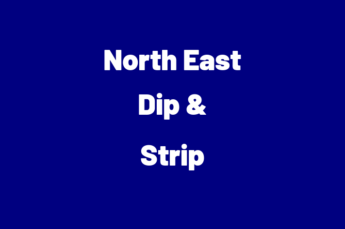 North East Dip & Strip